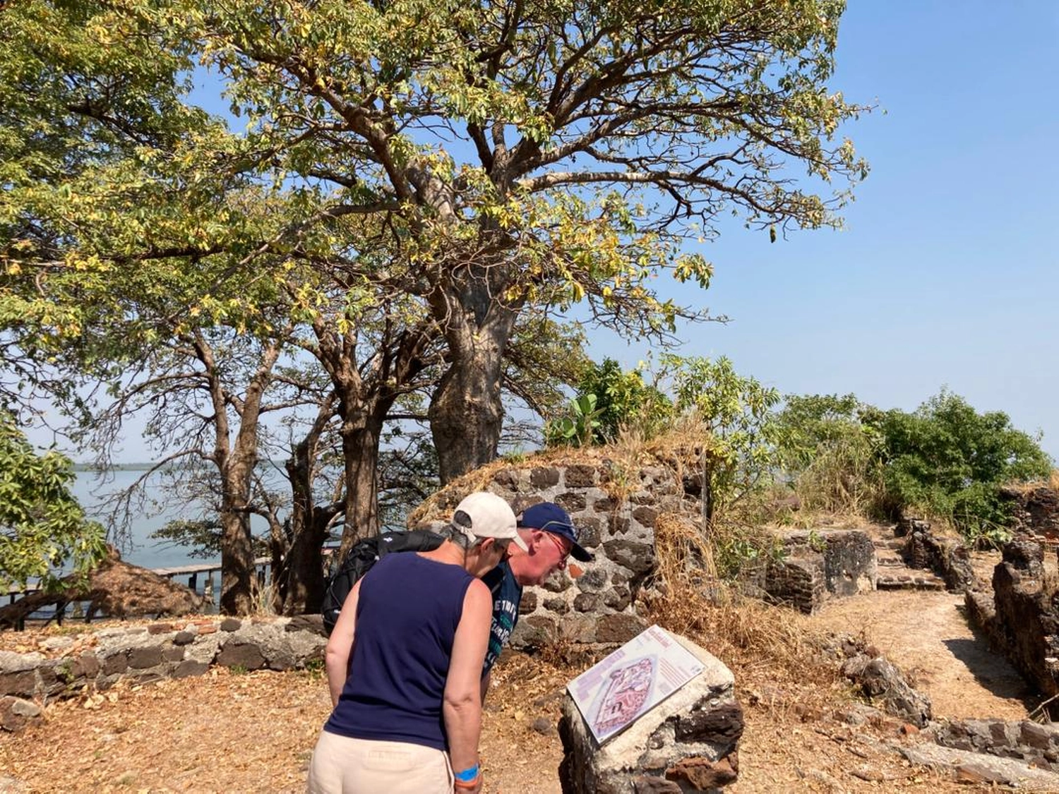Gambia​ View Tours - Tourism services - Two tourists leaning in to read an information plaque near stone ruins and a large baobab tree on James Island