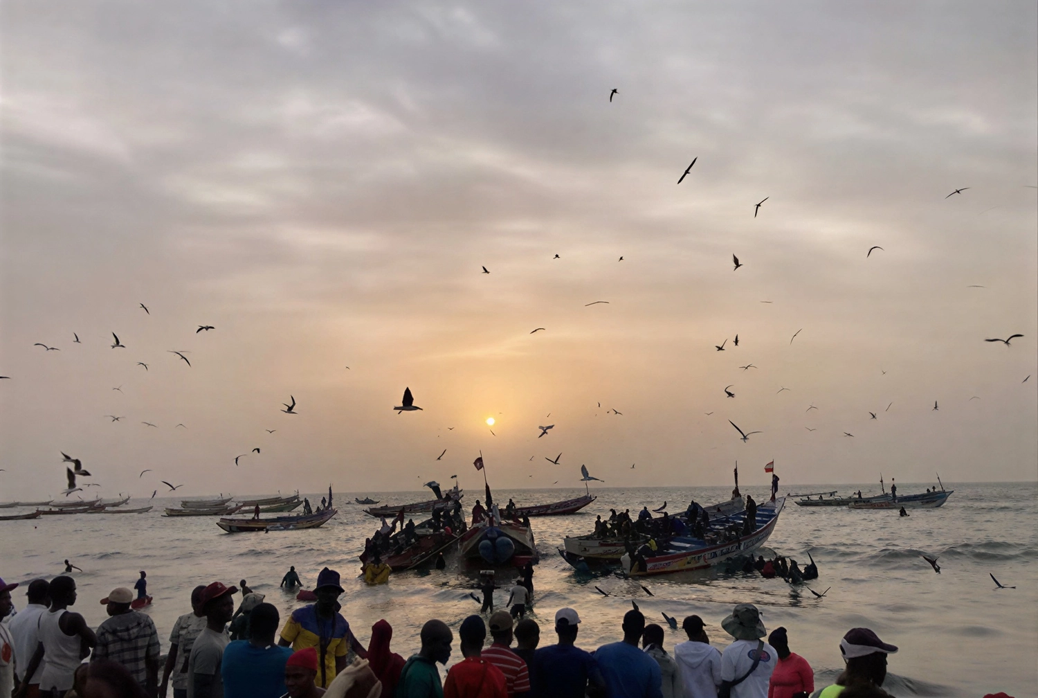 Gambia​ View Tours - Tourism services - A crowd of people on a beach at sunset, watching numerous fishing boats and birds in Tanji, Gambia.