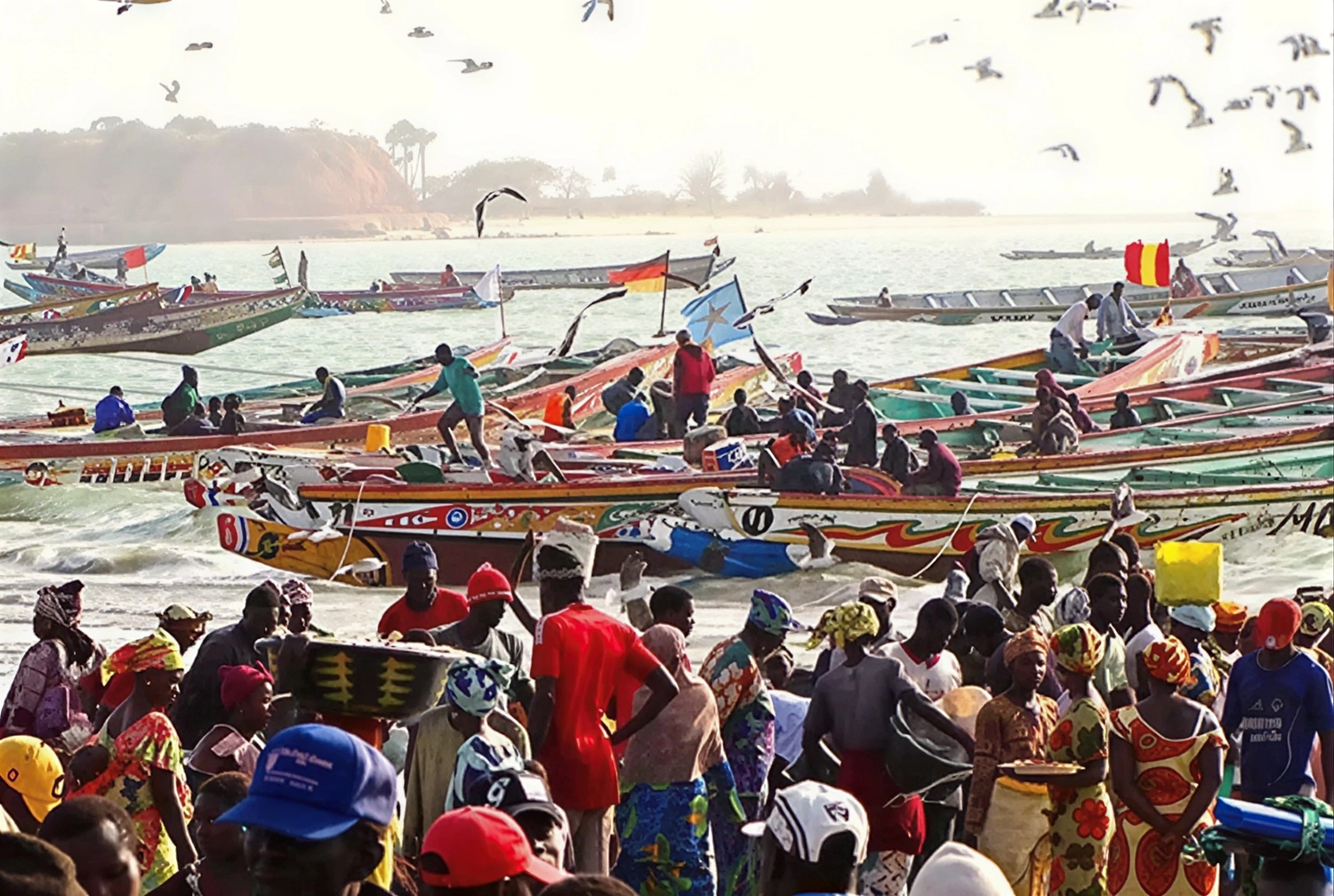 Gambia​ View Tours - Tourism services - A busy beach scene at the Tanji fishing village in The Gambia, featuring colorful traditional wooden boats and a large crowd of people gathering to process the day's catch.