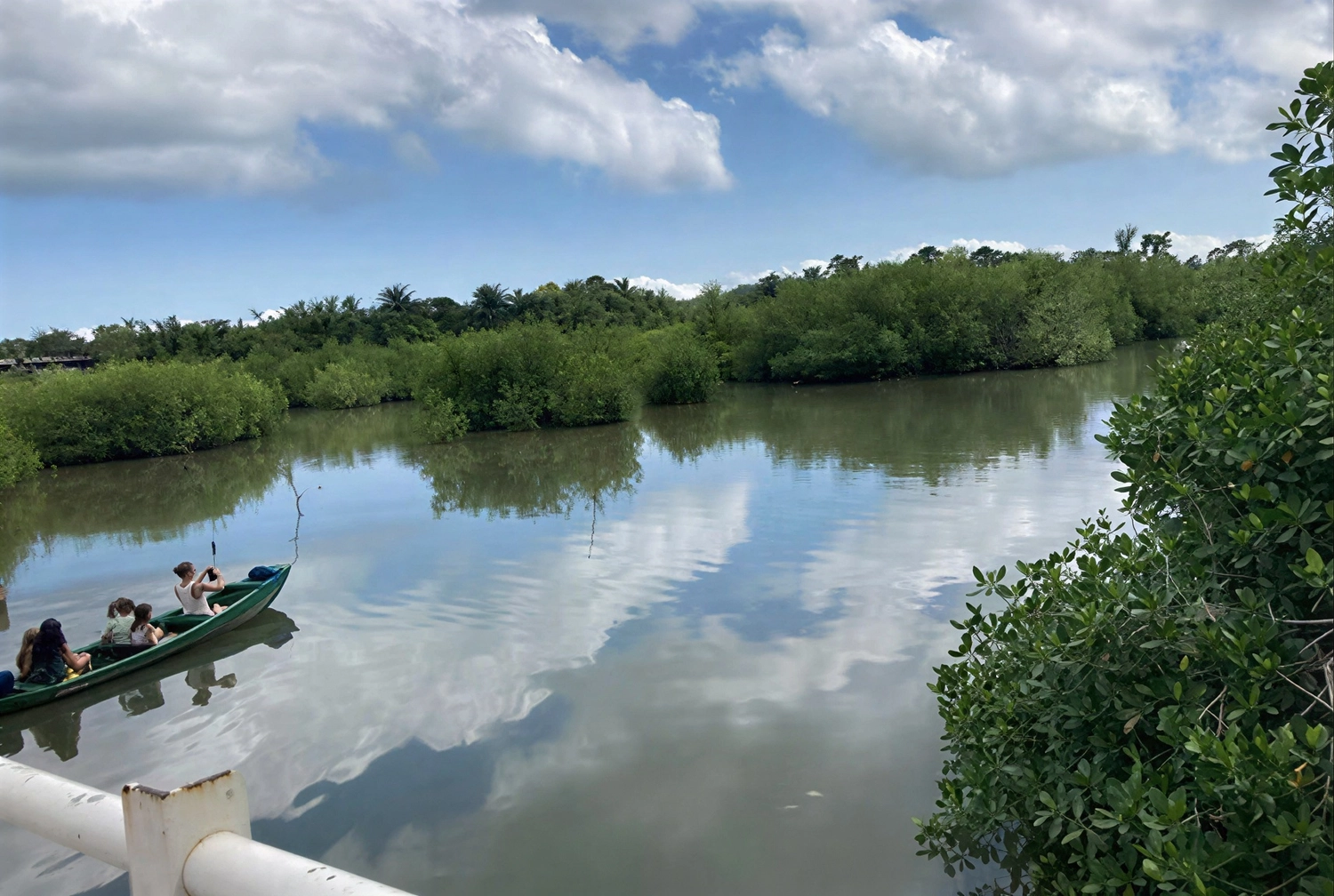 Gambia​ View Tours - Tourism services - Makasutu Palm Forest a small boat with people travels along a calm, reflective river surrounded by lush green mangroves and trees under a blue sky with white clouds.